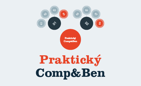Katedra Personalistiky ve spolupráci s BD Advisory pořádá dvoudenní kurz Praktický Comp&Ben